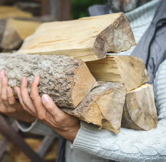 Person holding chopped firewood logs