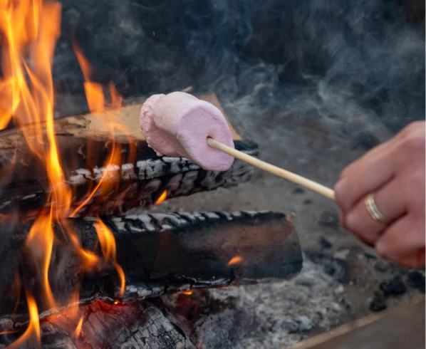 Hand holding marshmallow on stick