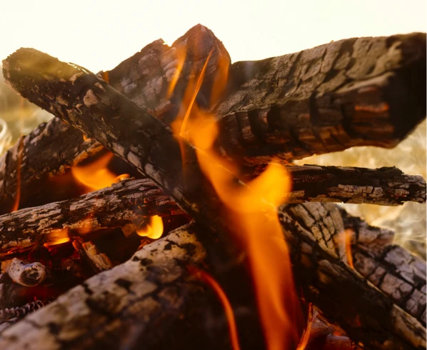 Close-up of campfire logs burning